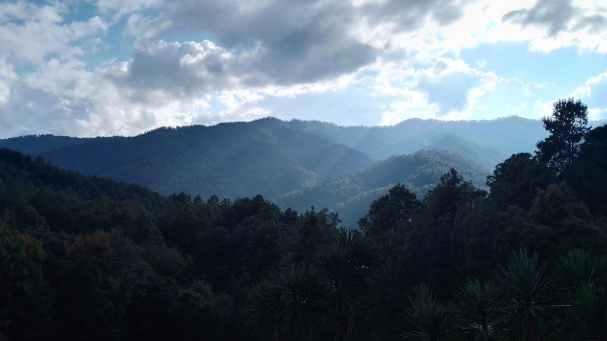 Rain over the San José del Pacífico mountains